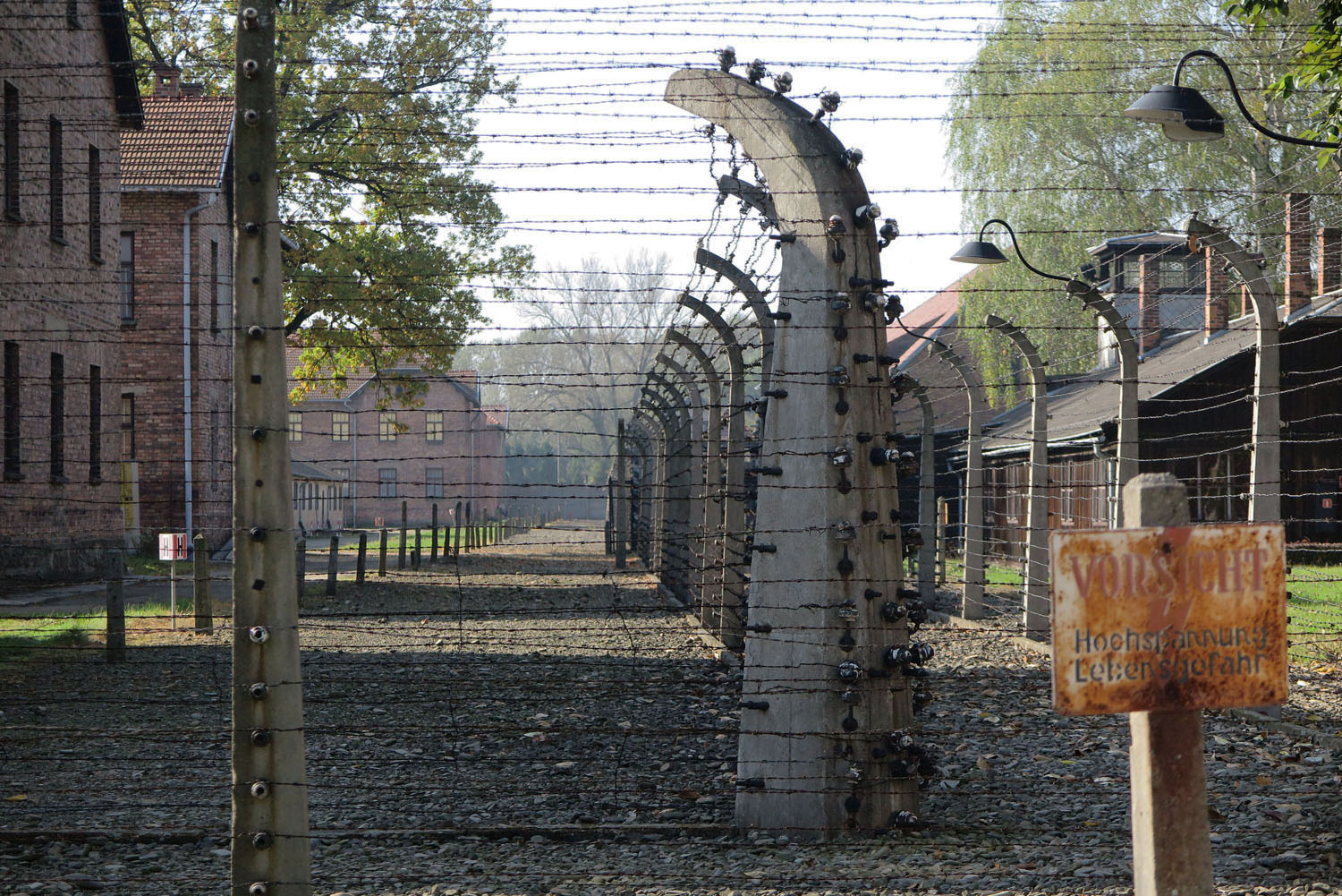 Poland-Auschwitz-Barbed-Wire-Fence