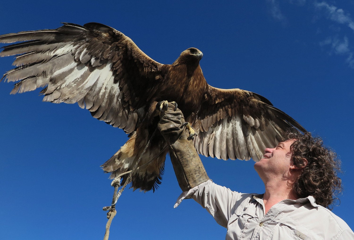 Mongolia-Karakorum-Eagle