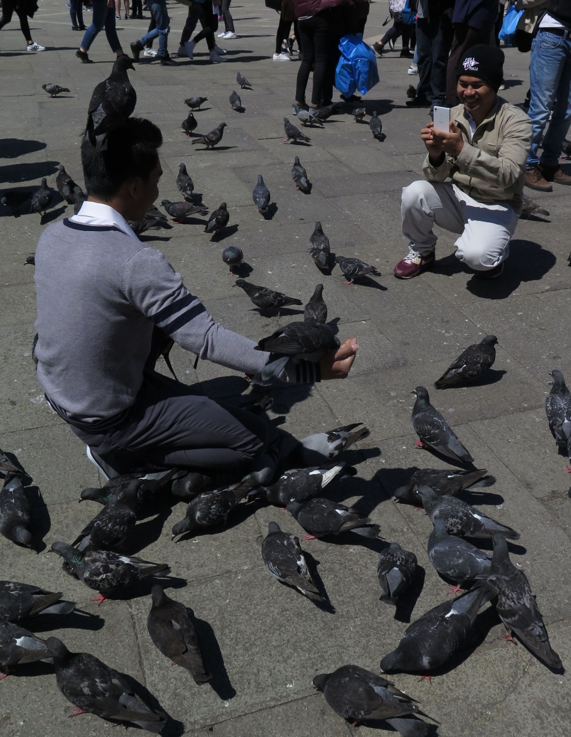 Italy-Venice-Saint-Marks-Square-Pigeons