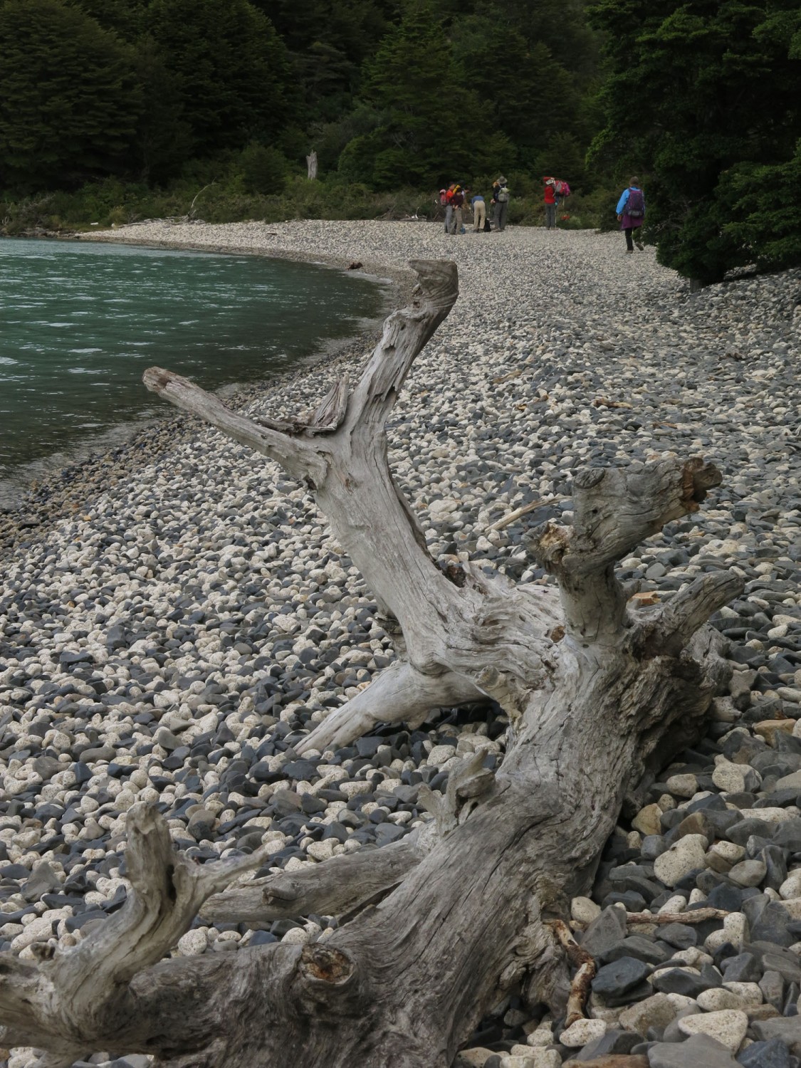 Patagonia-Paine-W-Trek-Day3-Hike-Beach
